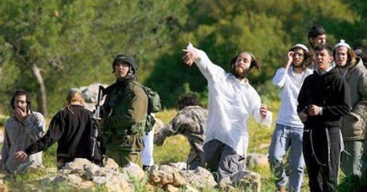إسرائيل تشدد قيود قطف الزيتون بالضفة وتخصص قوات أمنية إضافية